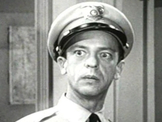 Barney Fife played by Don Knotts in the Andy Griffith Show