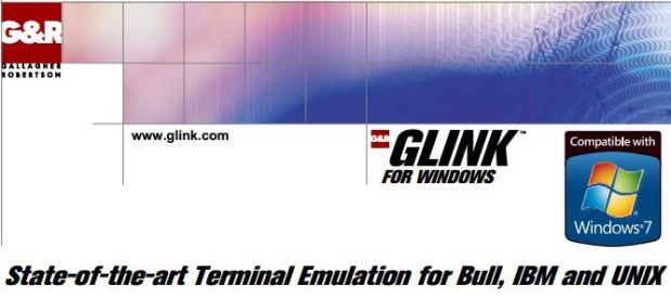 This is GLink today.  Back then it was for Windows 3.1