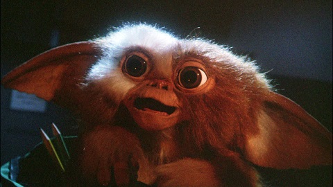 Gizmo from the movie Gremlins