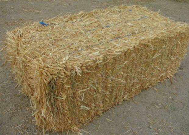 Square Bale of hay often used by Power Plant Men to feed their cattle
